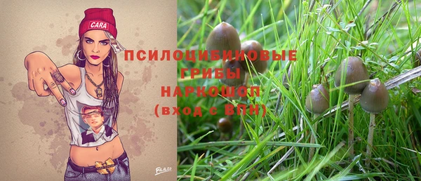 прущие грибы Абинск
