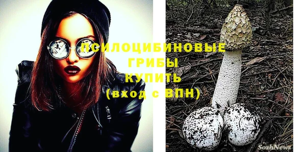 прущие грибы Абинск