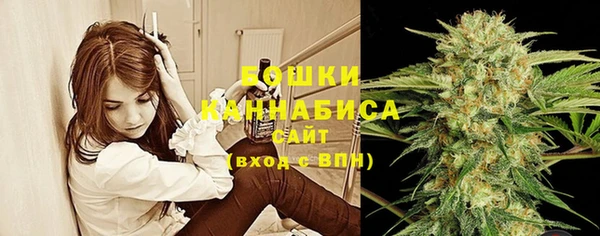 прущие грибы Абинск
