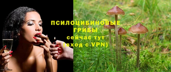 прущие грибы Абинск