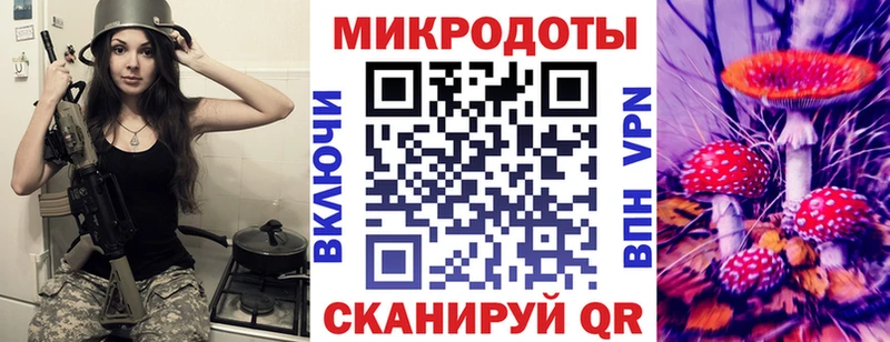 Псилоцибиновые грибы Cubensis  Южа 